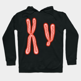 X and Y Chromosomes Hoodie